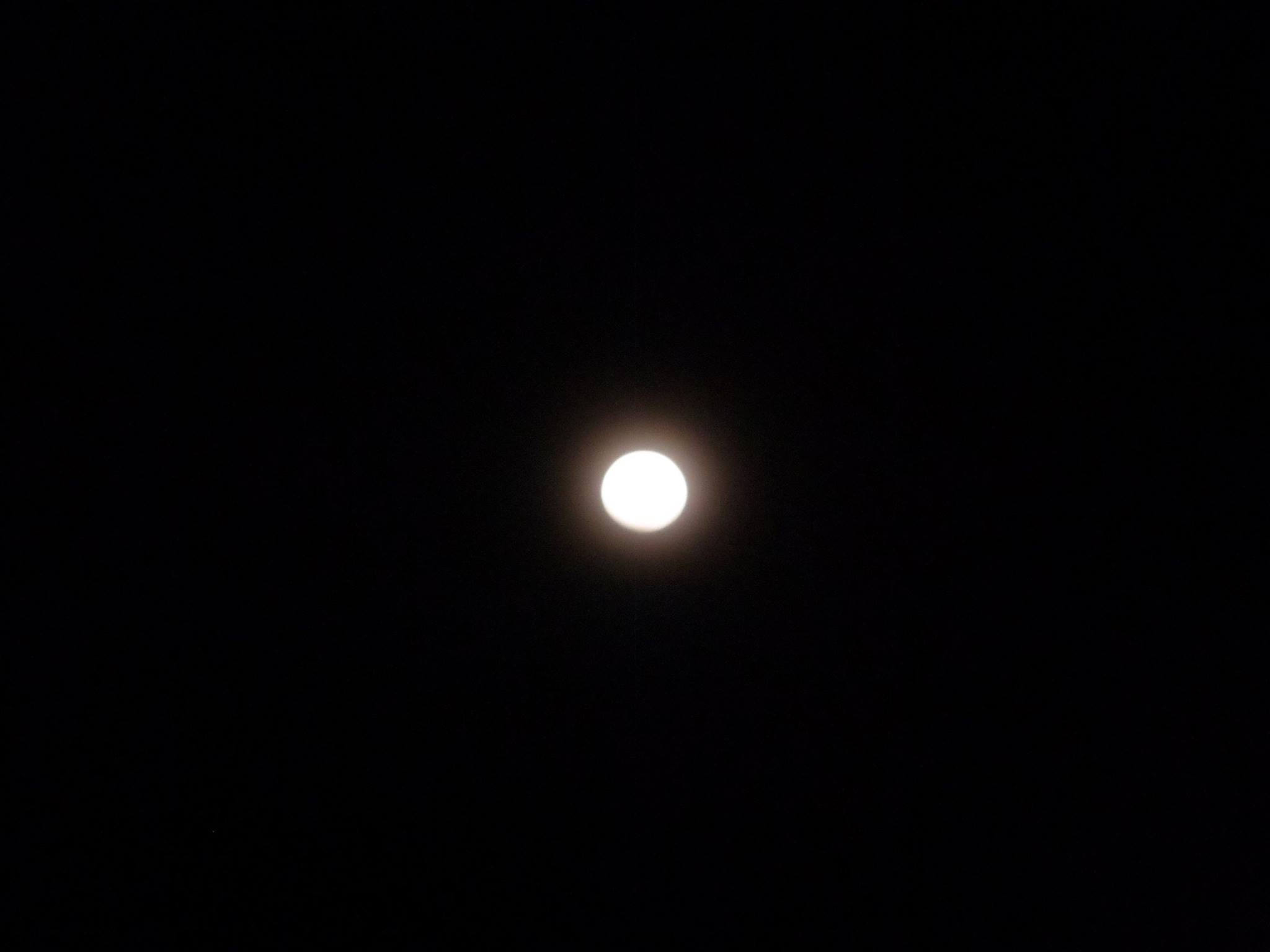 A photo I took of the moon at night.