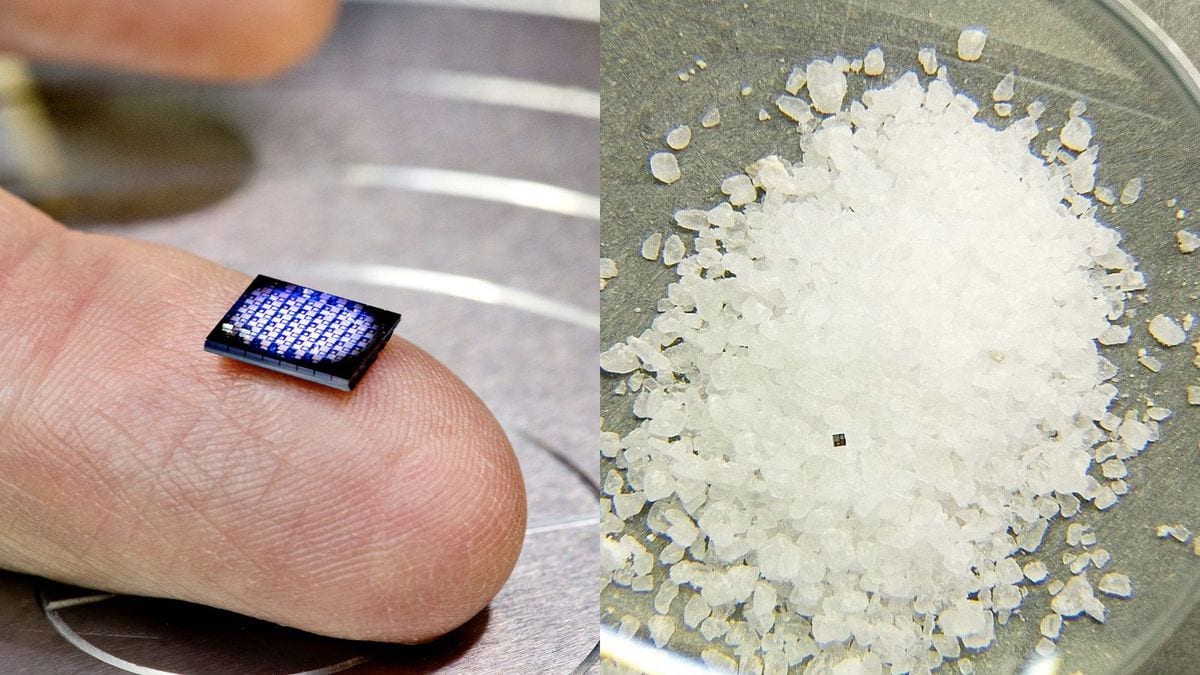 A computer the size of a salt grain.